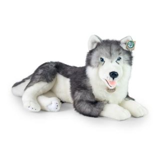 Obrázek z Pes husky ležící plyš 60cm 